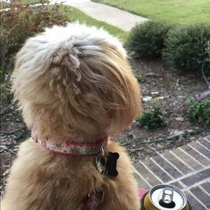 Meet your Posher, Elizabeth